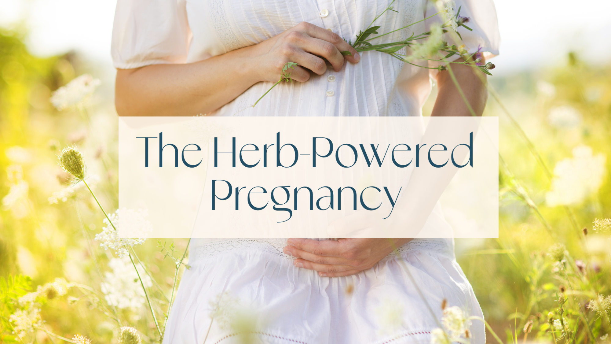 The Herb-Powered Pregnancy